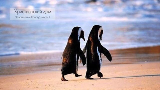 Чарльз Кливленд | Христианский дом | часть 1 смотреть онлайн