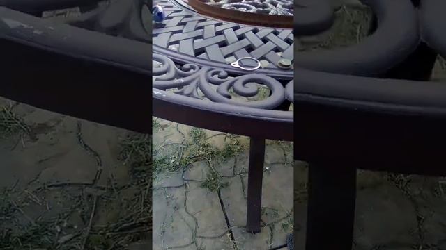 GP pointer review смотреть онлайн