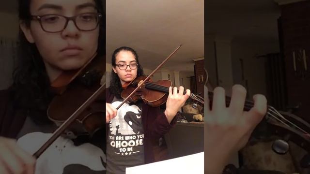 Red Violin- Viola Country