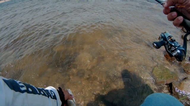 Рыбалка на Волге в жару 40+/голавль на блесну/крутые поклёвки голавля смотреть онлайн