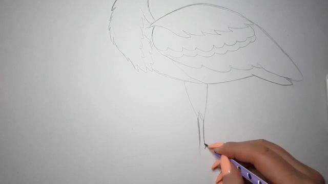 Рисуем аиста. Акварель #мастеркласспорисованию #art смотреть онлайн