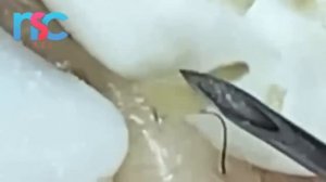 Enjoy Everyday With Loan Nguyen Skincare