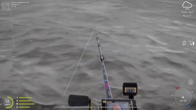 Ловля палии в отвес! Ладожский Архипелаг. смотреть онлайн