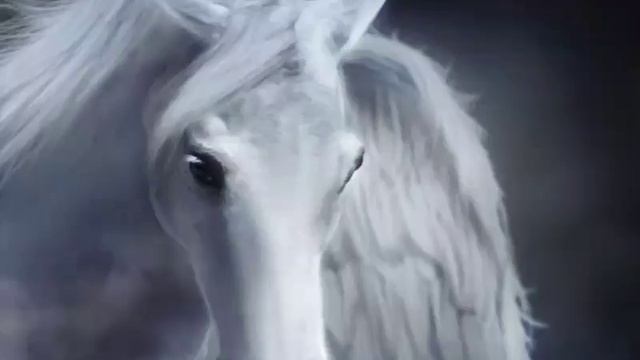 Животные кого больше любиш смотреть онлайн