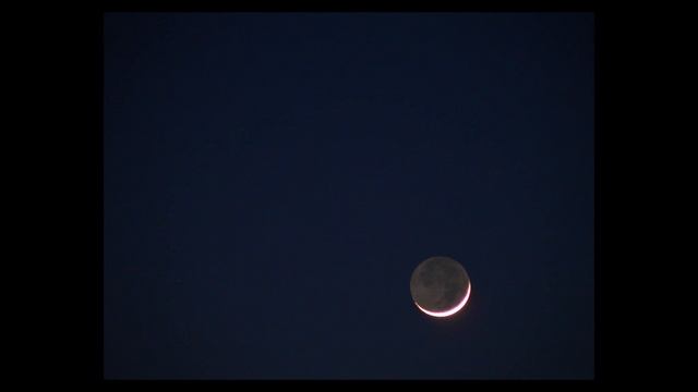 Planets with my Pana смотреть онлайн
