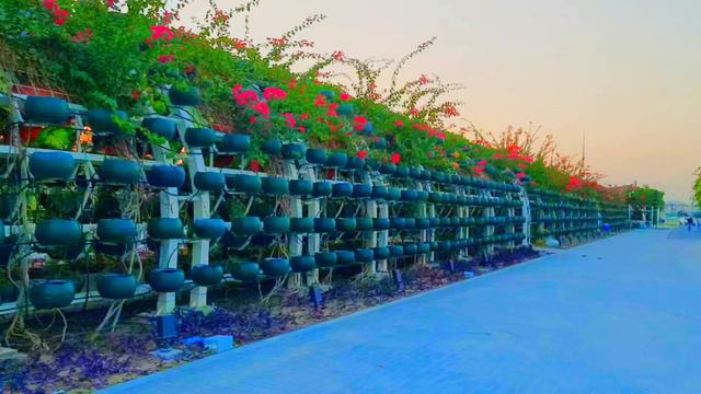 Umbrella park corniche doha Qatar ||A wonderful tourist spot cornice ||Saidur Enjoyment смотреть онлайн