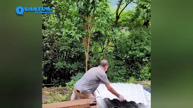 Renovate The Abandoned House In The Forest Overgrown With Weeds