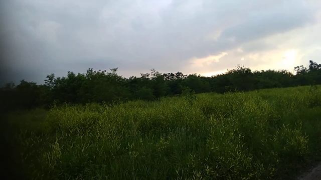 28 июня 2021 года цветет донник смотреть онлайн