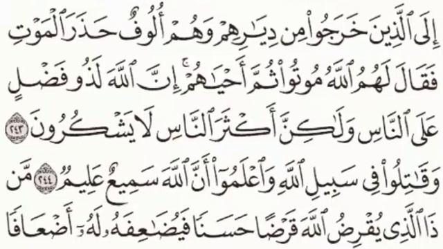 Quran Tafseer Surah 2. Al-Baqara 243-245: By Dr. Farhat Hashmi (Urdu) смотреть онлайн