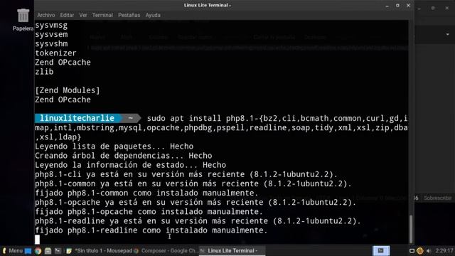 ? Instalar Composer en Linux ? смотреть онлайн