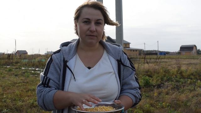 Кулинарные Рецепты из Разных Культур