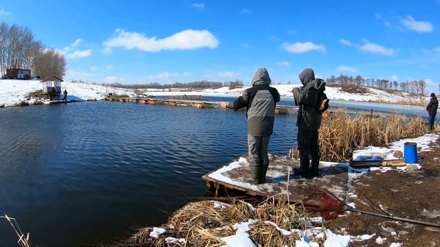 Выезд с друзьями за своей первой форелькой!) Пруд Дальний Раг! смотреть онлайн