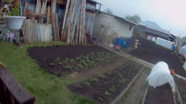 ВЛОГ трех дней/ три дня высаживаю цветы/ миксы цветочные