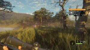 theHunter Call of the Wild #14 ? - Разведка Боем - Кoмпозиции из Чучeл