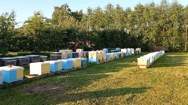 Наши новости (20.06.2021) смотреть онлайн