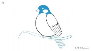 Как нарисовать птицу снегиря на ветке: инструкция от EvriKak