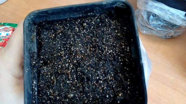 Посев земляники разными способами, ,часть 2 смотреть онлайн