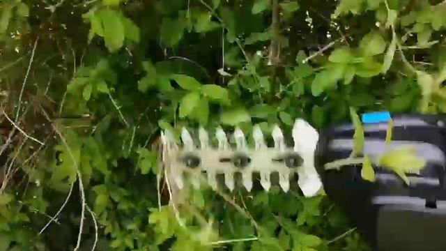 Декоративная обрезка кустарника. смотреть онлайн