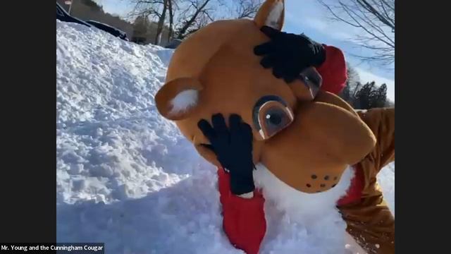 Pawsitivity January 2022 смотреть онлайн