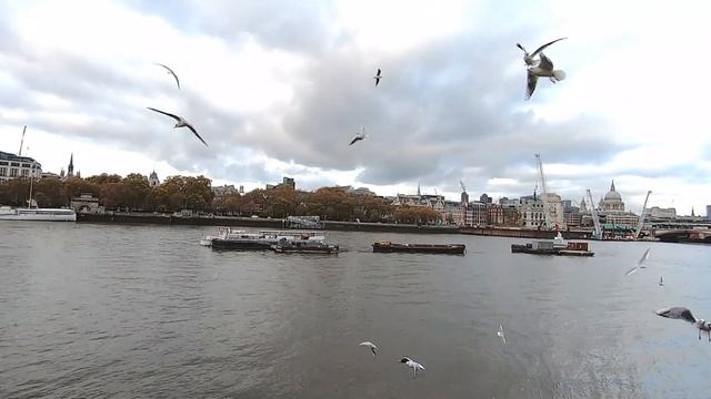 Плюсы и минусы жизни в Лондоне. Жизнь в Лондоне. Как живут люди в Лондоне? Переезжаете в Лондон? смотреть онлайн