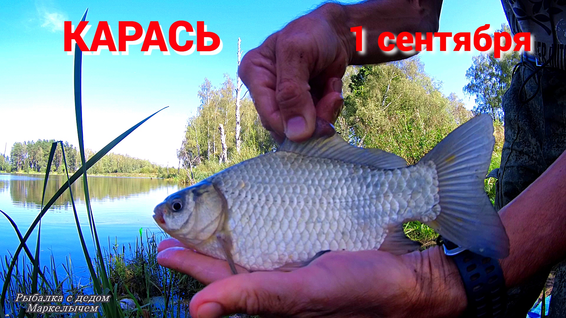 КАК ПОЙМАТЬ ХИТРОГО КАРАСЯ. Рыбалка на тесто ХЕРАБУНА. Последний жаркий день. смотреть онлайн