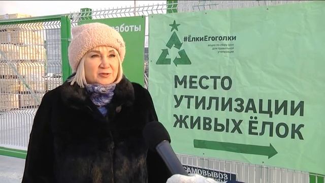 Куда сдать ёлку после праздников? смотреть онлайн