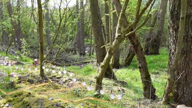 The COOLEST And LOWEST WPL I've Ever Built! LCG WPL C44