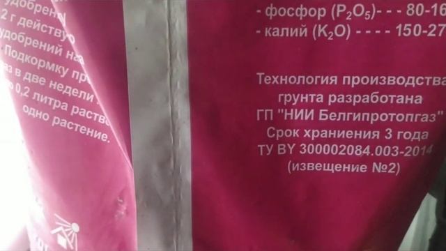 Катальпа ...семенами! смотреть онлайн