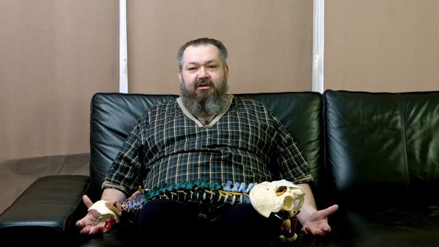 Что такое лордоз и кифоз.