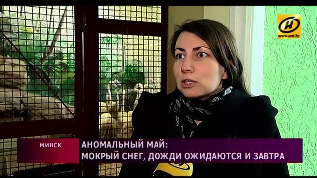 Аномально холодный май в Беларуси смотреть онлайн
