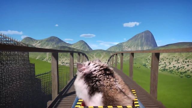 Hamster in Roller Coaster Maelstrom with shark смотреть онлайн
