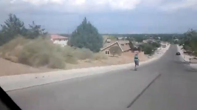 Cody saves a kitty from a train? смотреть онлайн