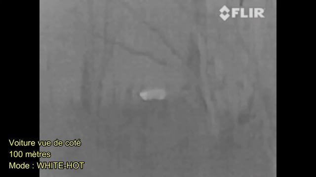 Monoculaire vision thermique FLIR Scout TK смотреть онлайн