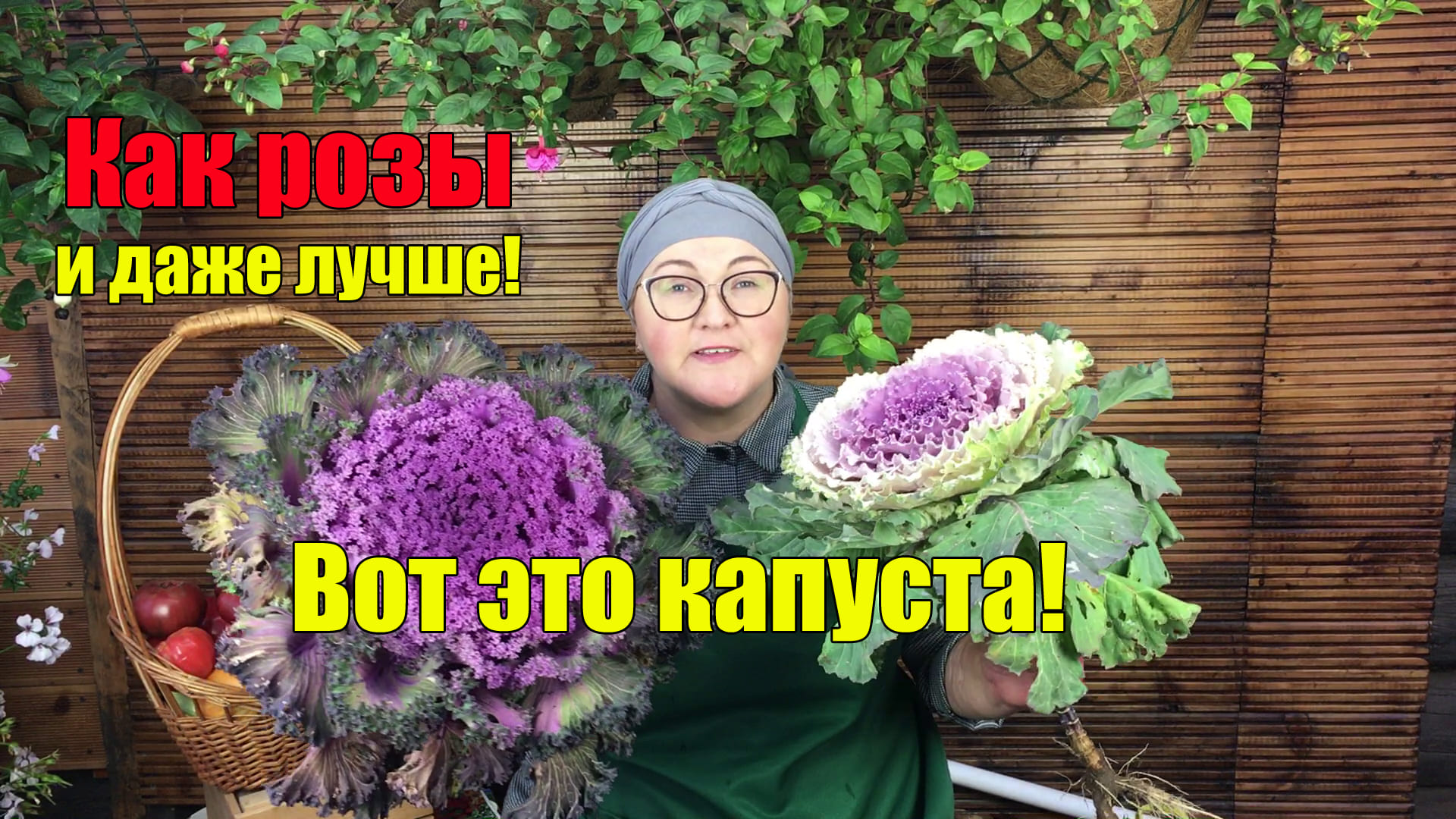 Декоративная капуста – осенняя звезда сада! смотреть онлайн