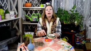 Лук порей: как добиться 100% всходов. Лук порей посев на рассаду. Лук порей выращивание. Посев лука