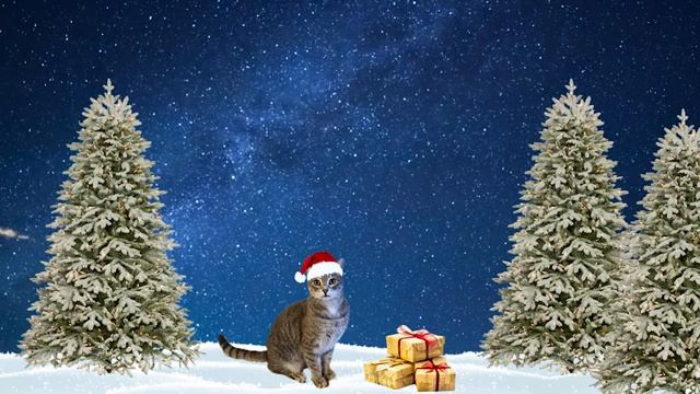 Weihnachtszauber 2023