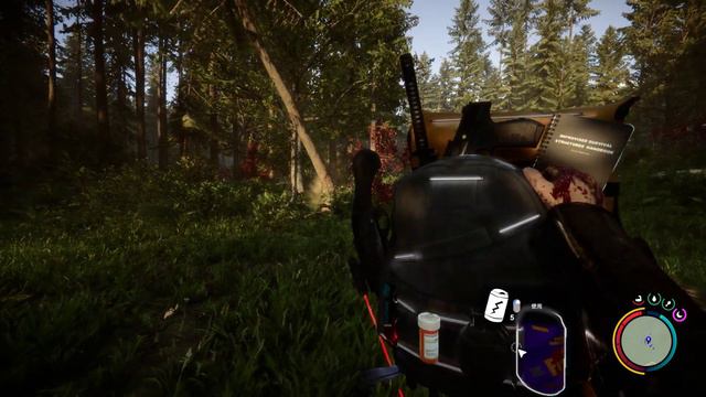 Sons of the Forest 13600K RTX3070 TEST смотреть онлайн