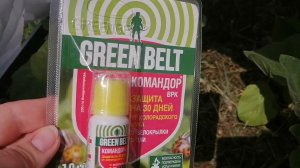 Защищаю свой урожай от колорадского жука средством Green Belt  Командор