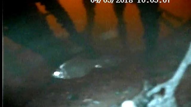 р.Волга. Коряжник за Вороньим смотреть онлайн