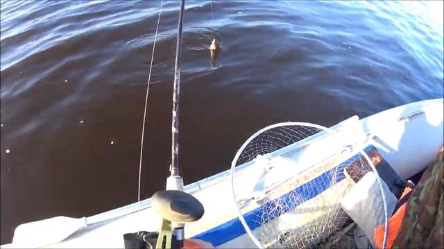 ОТКРЫТИЕ СЕЗОНА РЫБАЛКИ 2023 ТРОЛЛИНГ НА КАМЕ смотреть онлайн