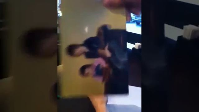 в Двух палочках