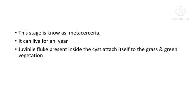 NOTES FOR FASCIOLA HEPATICA : Classification , Life Cycle , Pathogenecity,Treatment, Prevention . смотреть онлайн