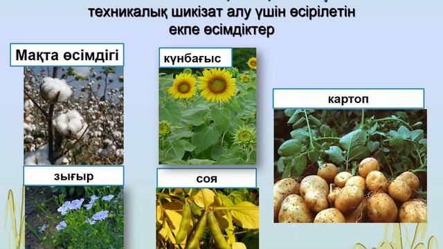 Көркем еңбек 8 сынып 4 тоқсан 6 сабақ ПРЕЗЕНТАЦИЯ 1 смотреть онлайн