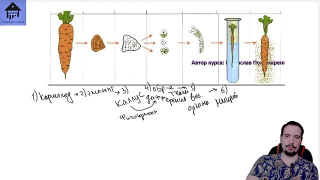 Селекция и Биотехнология и для ЕГЭ |ЕГЭ БИОЛОГИЯ|Freedom| смотреть онлайн