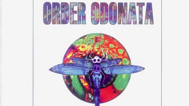 The Infinity Project - Brain Bokka смотреть онлайн