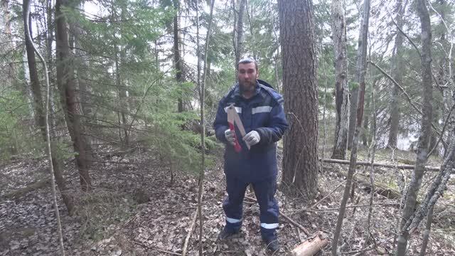 Пила Silky Bigboy | Тревожный Павлик. Saw Silky Bigboy | An anxious Pavlik.