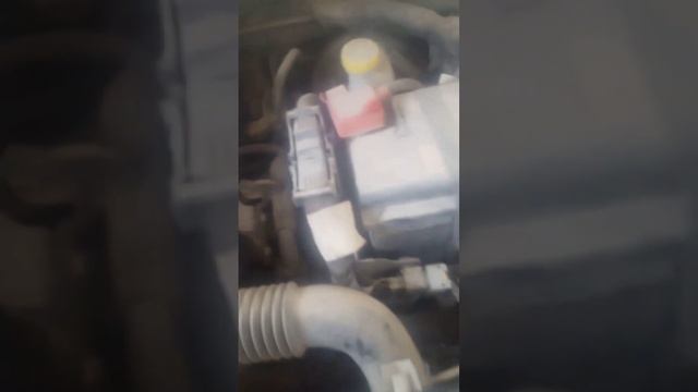 Une petite vue sur FIAT 500. смотреть онлайн