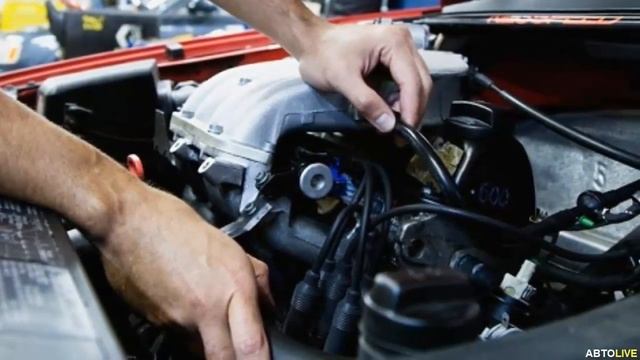 Рецепты для истинных гурманов