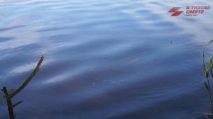 Рыбалка на реке | убийца карася | Кирпили рыбалка