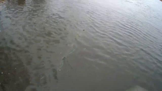 сеть 70-ка неплохой улов для этого времени